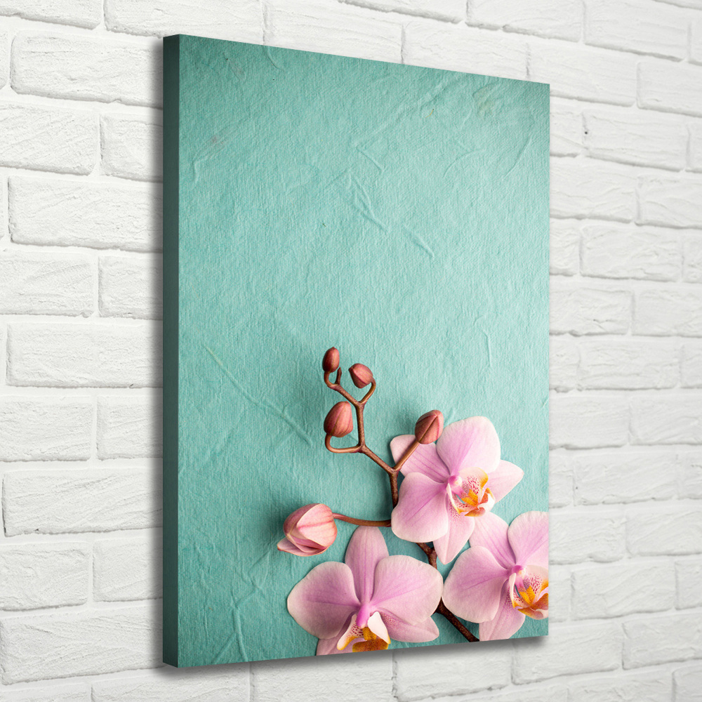 Tableau sur toile Orchidée rose fleur