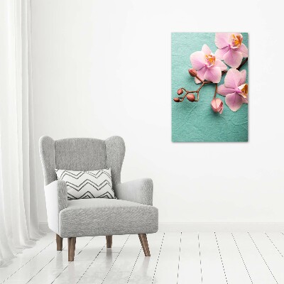 Tableau sur toile Orchidée rose fleur