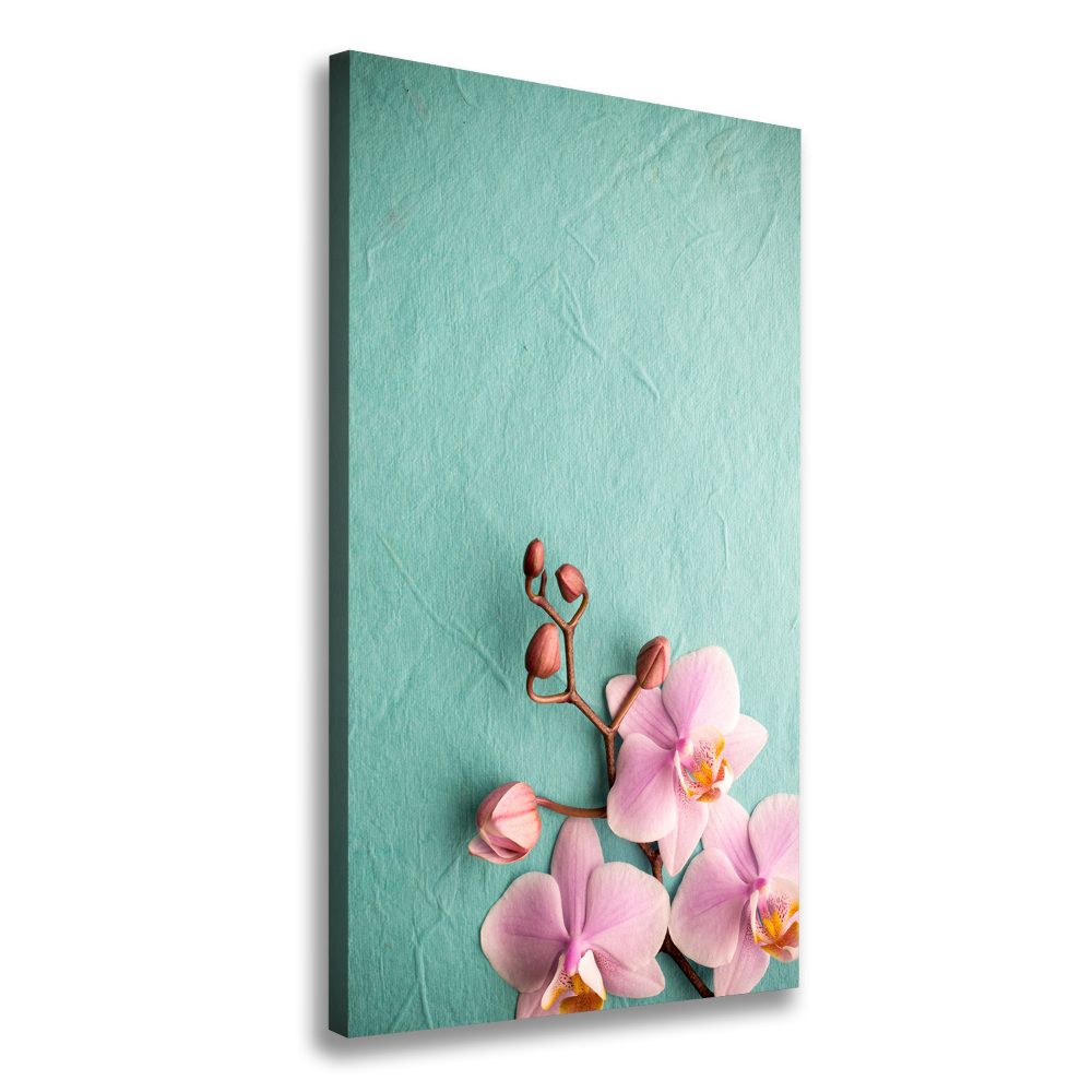 Tableau sur toile Orchidée rose fleur