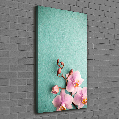 Tableau sur toile Orchidée rose fleur