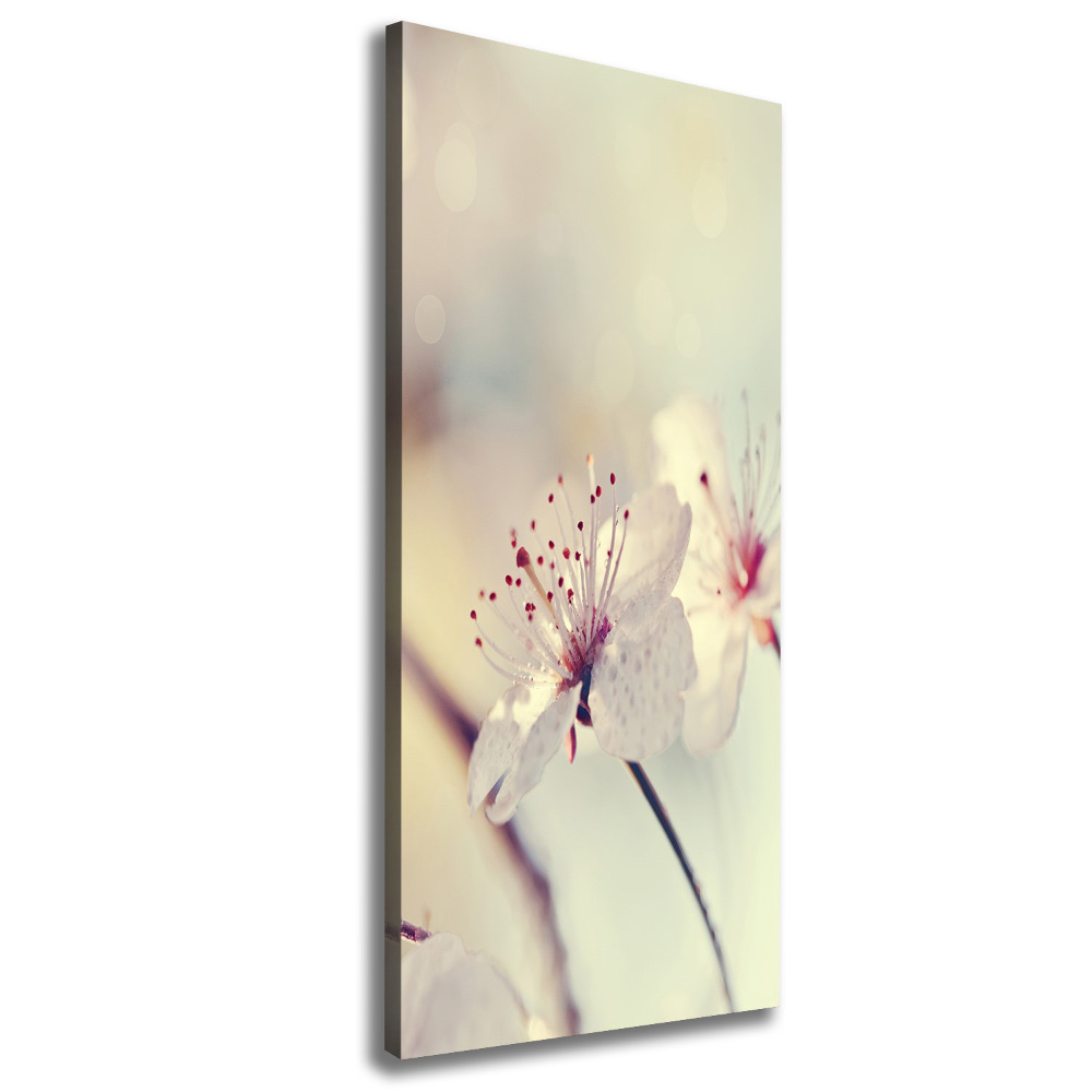 Tableau photo sur toile Fleur de cerisier plante