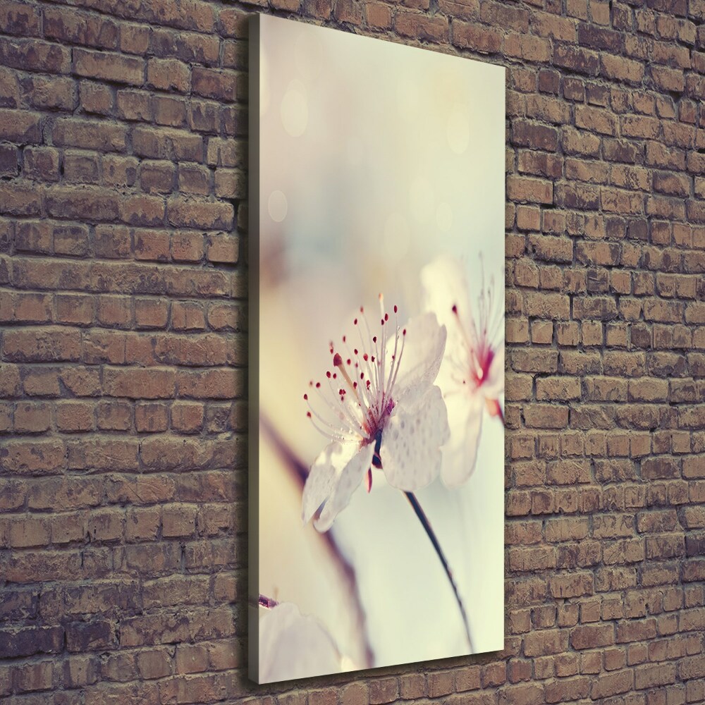 Tableau photo sur toile Fleur de cerisier plante