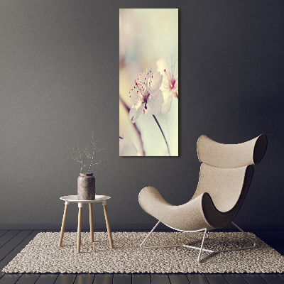 Tableau photo sur toile Fleur de cerisier plante