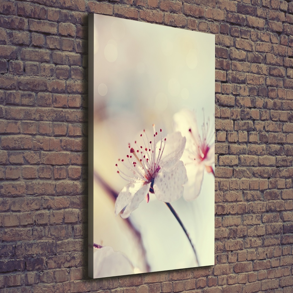 Tableau photo sur toile Fleur de cerisier plante