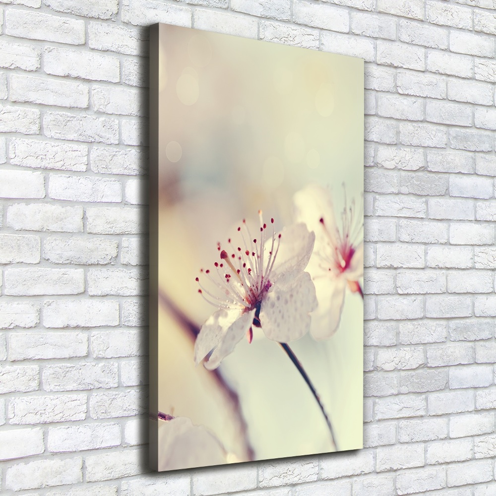 Tableau photo sur toile Fleur de cerisier plante