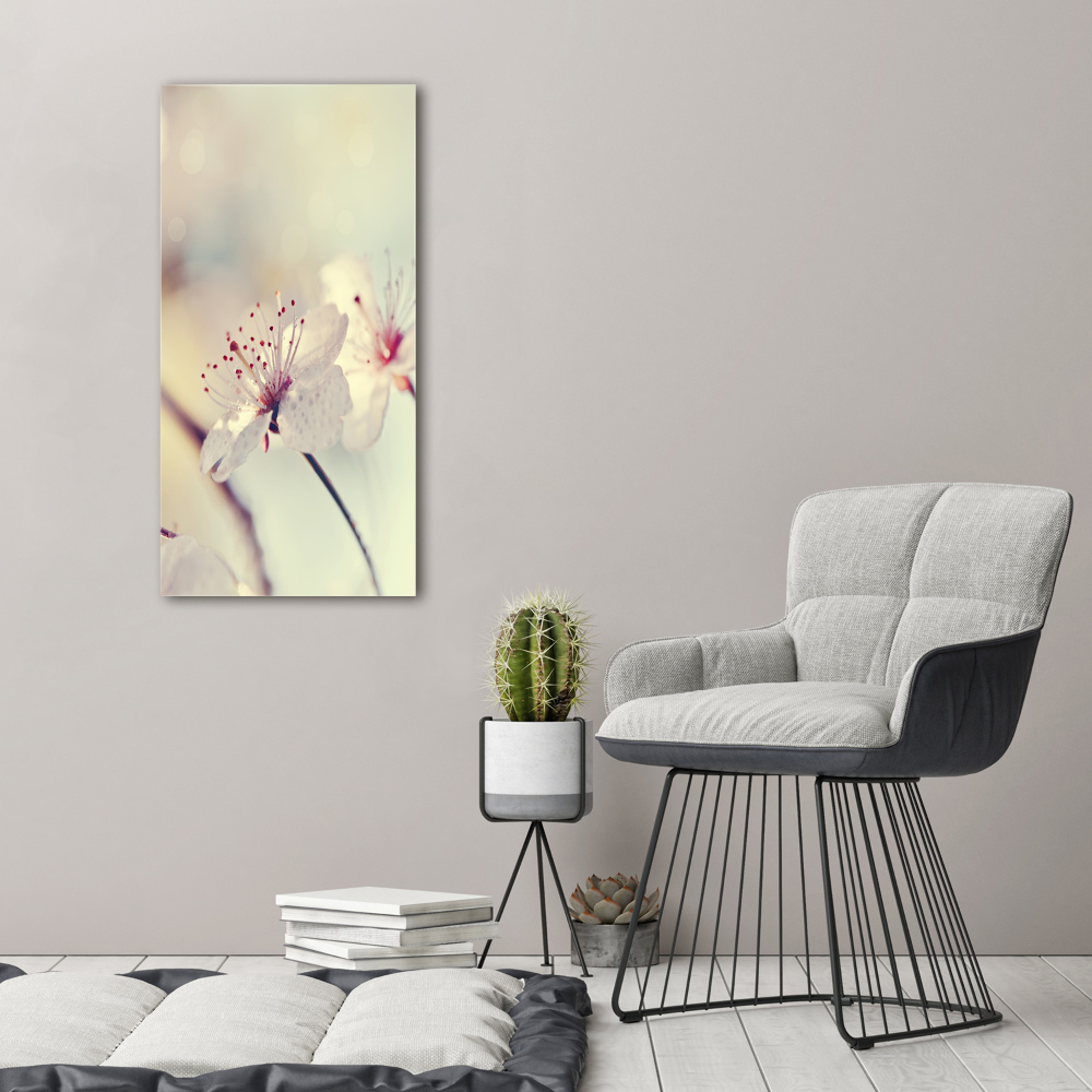 Tableau photo sur toile Fleur de cerisier plante