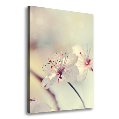 Tableau photo sur toile Fleur de cerisier plante