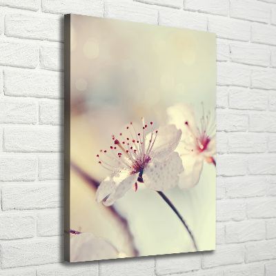 Tableau photo sur toile Fleur de cerisier plante