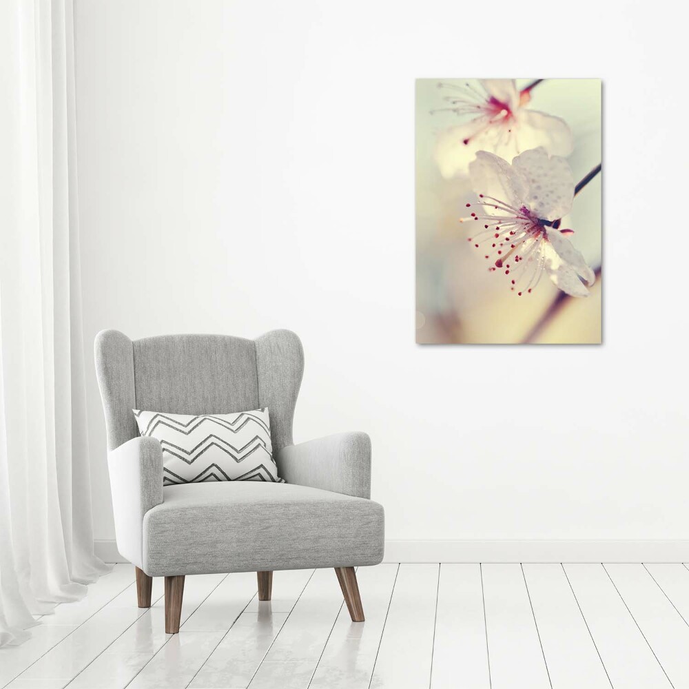 Tableau photo sur toile Fleur de cerisier plante