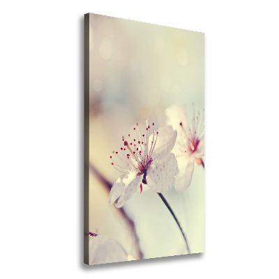 Tableau photo sur toile Fleur de cerisier plante