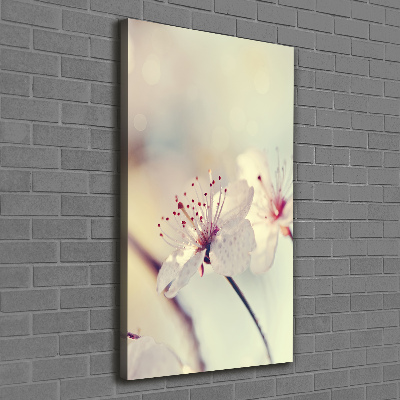 Tableau photo sur toile Fleur de cerisier plante