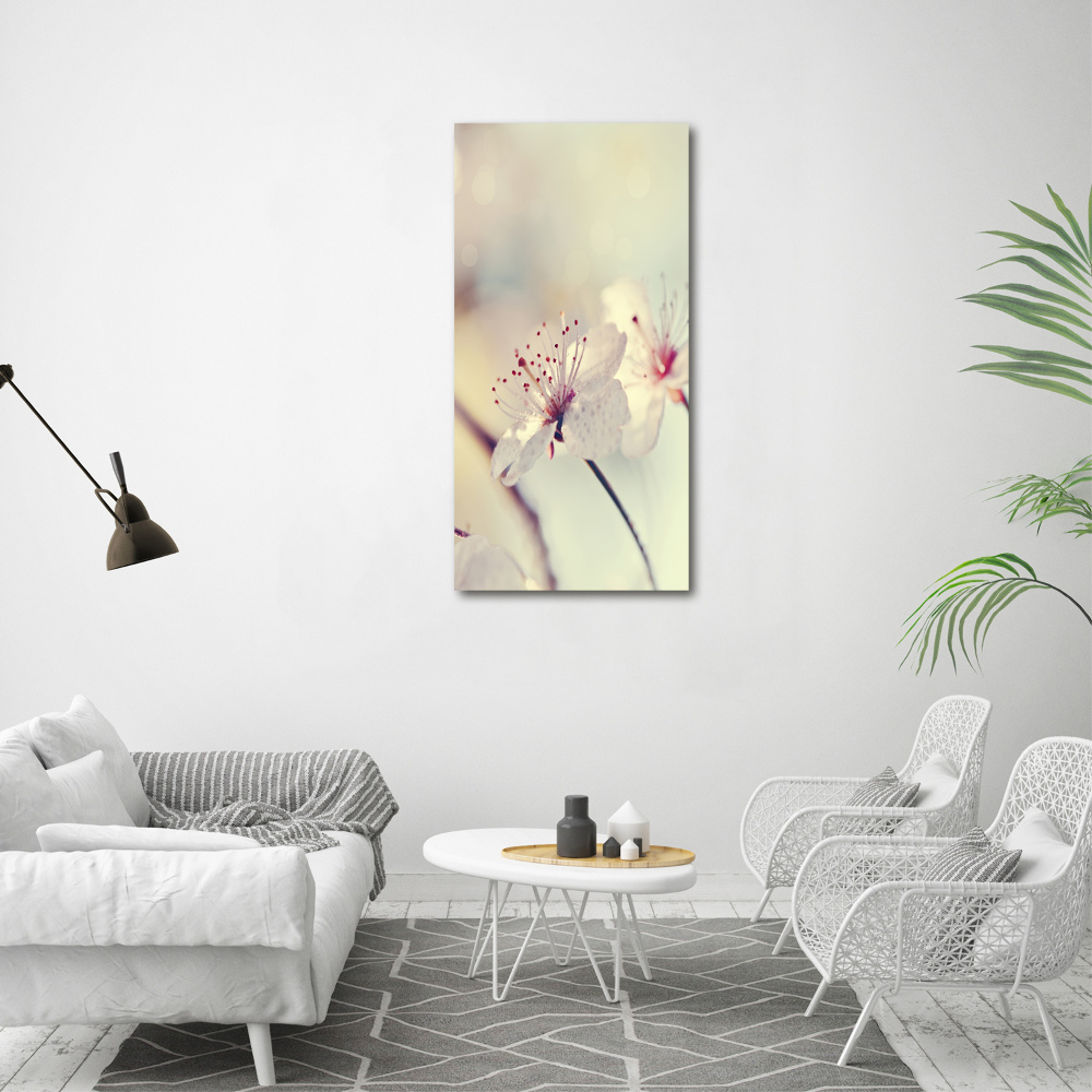 Tableau photo sur toile Fleur de cerisier plante