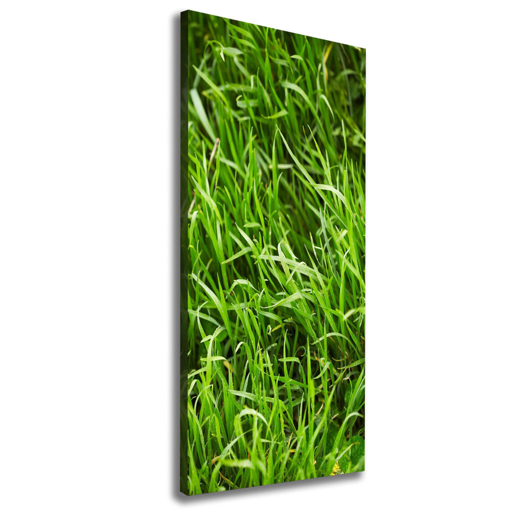 Tableau photo sur toile L'herbe