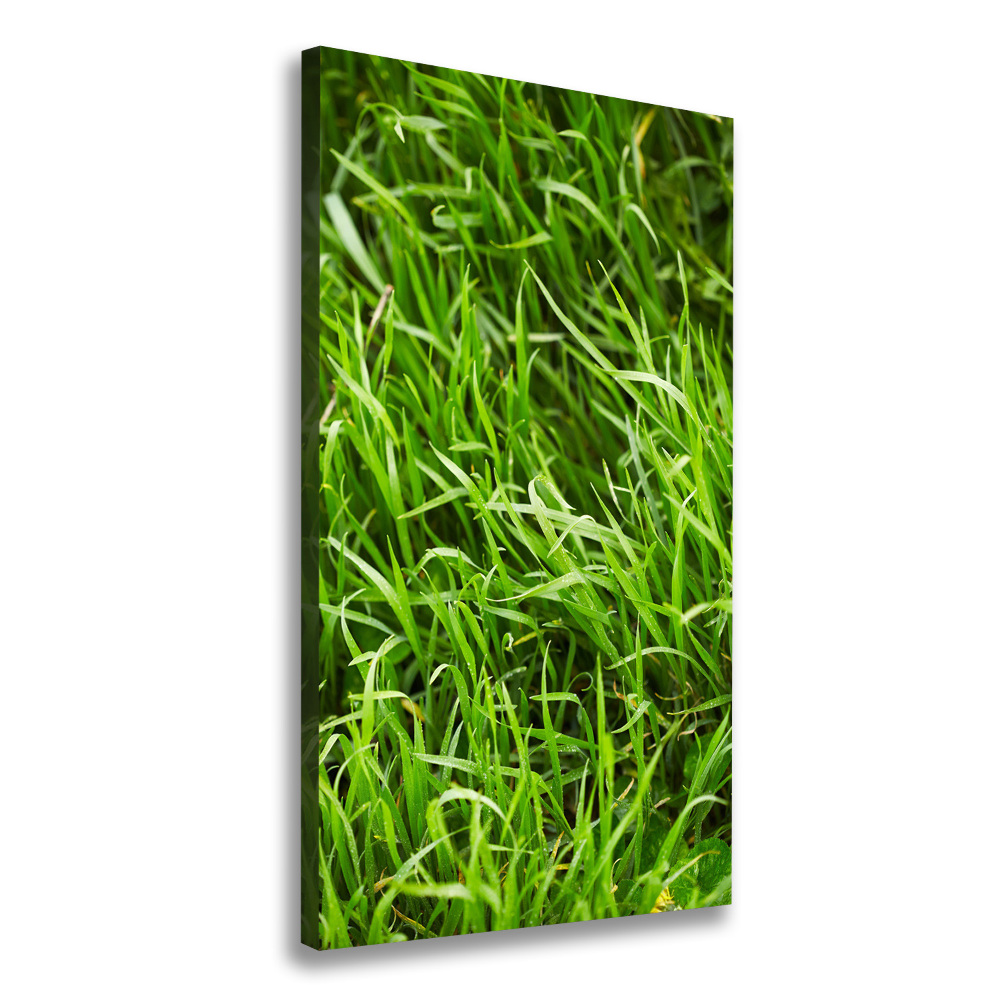 Tableau photo sur toile L'herbe