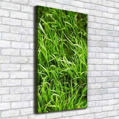 Tableau photo sur toile L'herbe