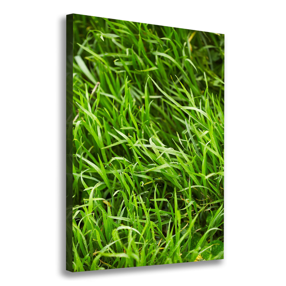 Tableau photo sur toile L'herbe