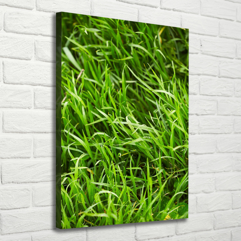 Tableau photo sur toile L'herbe