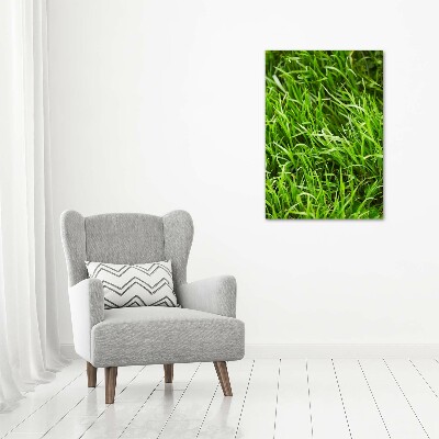 Tableau photo sur toile L'herbe