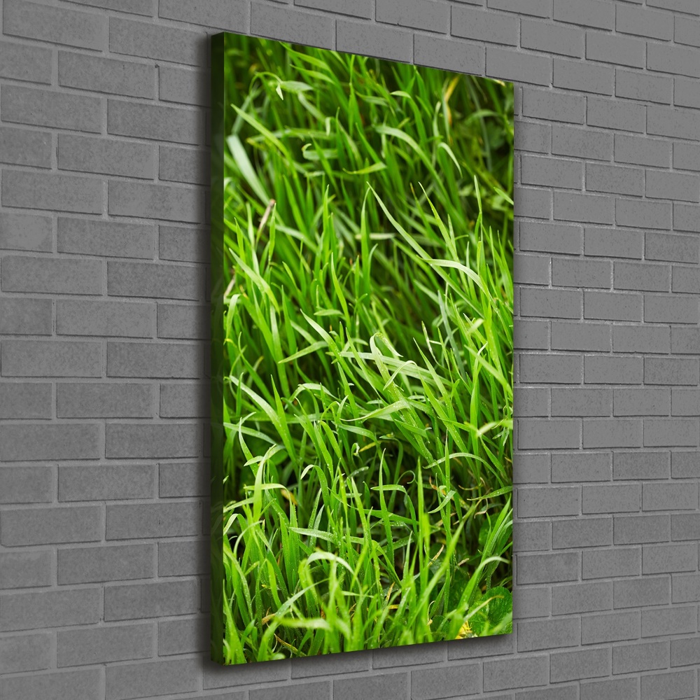 Tableau photo sur toile L'herbe