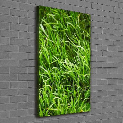 Tableau photo sur toile L'herbe