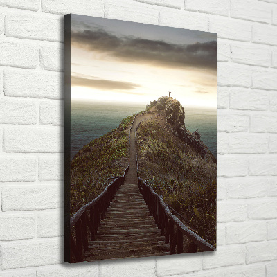 Tableau photo sur toile Chemin sur le rocher