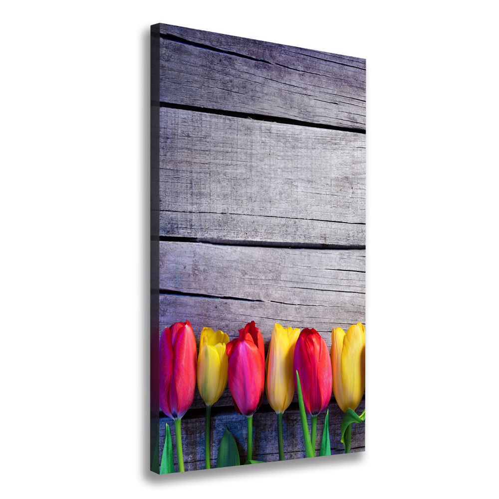 Tableau mural sur toile Tulipes colorées