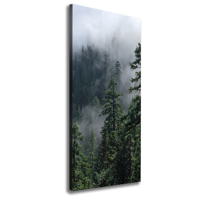 Tableau sur toile Brouillard dans la forêt