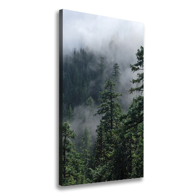 Tableau sur toile Brouillard dans la forêt