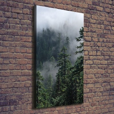 Tableau sur toile Brouillard dans la forêt