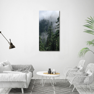 Tableau sur toile Brouillard dans la forêt