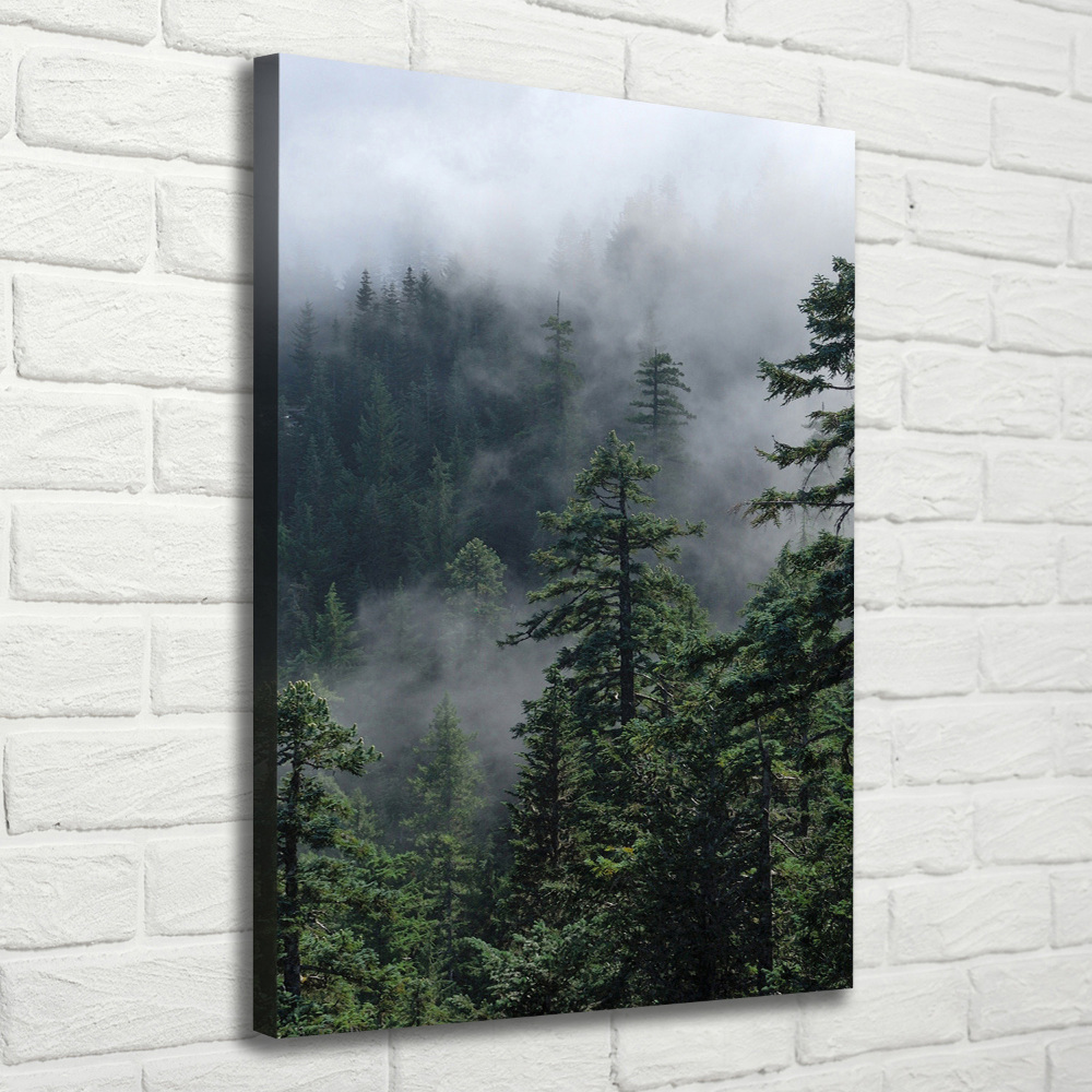 Tableau sur toile Brouillard dans la forêt