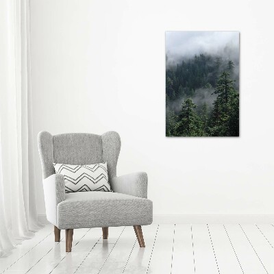 Tableau sur toile Brouillard dans la forêt