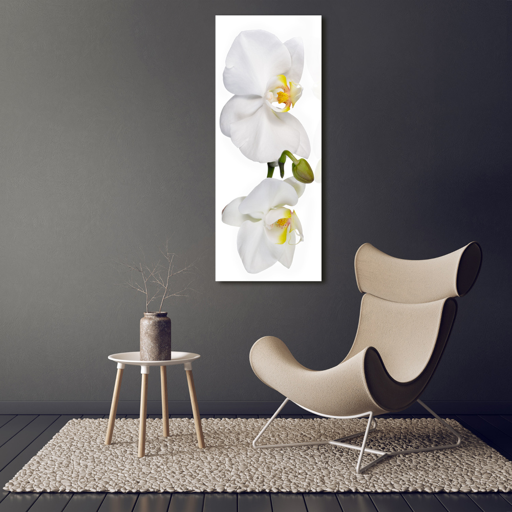 Tableau mural sur toile Orchidée blanche