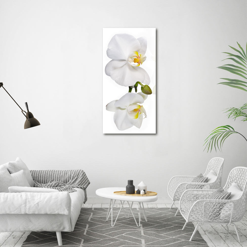 Tableau mural sur toile Orchidée blanche