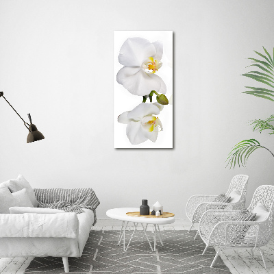 Tableau mural sur toile Orchidée blanche