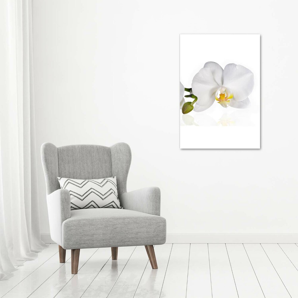 Tableau mural sur toile Orchidée blanche