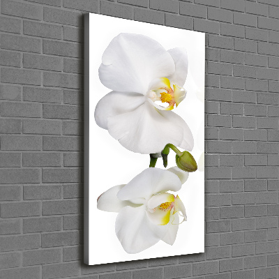 Tableau mural sur toile Orchidée blanche