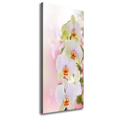 Tableau imprimé sur toile Orchidée blanche