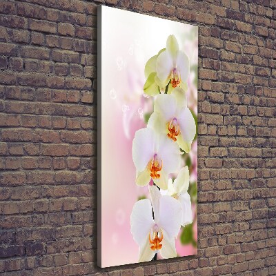 Tableau imprimé sur toile Orchidée blanche