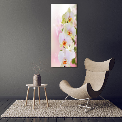 Tableau imprimé sur toile Orchidée blanche