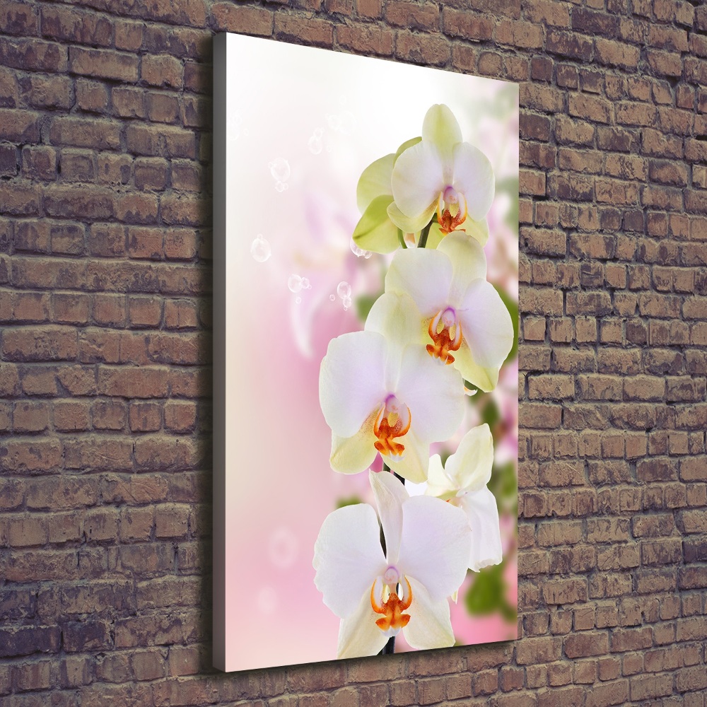 Tableau imprimé sur toile Orchidée blanche