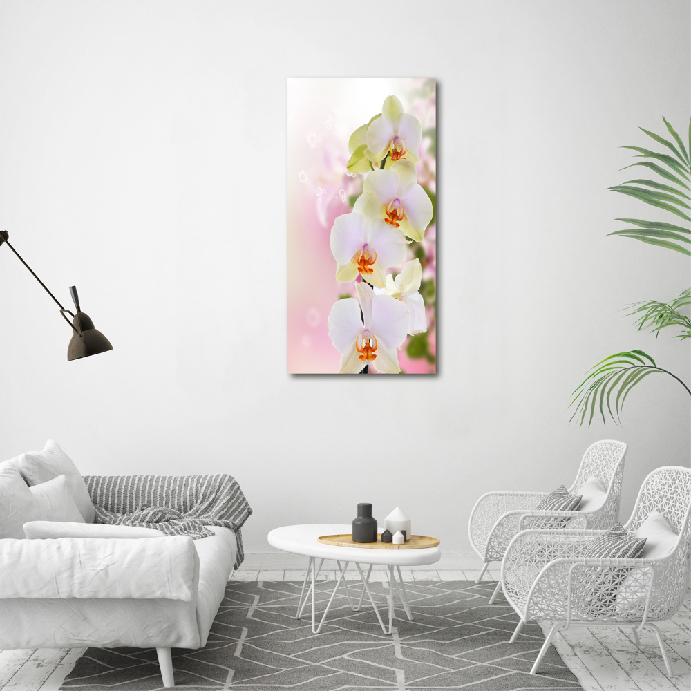 Tableau imprimé sur toile Orchidée blanche