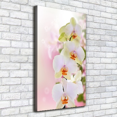 Tableau imprimé sur toile Orchidée blanche