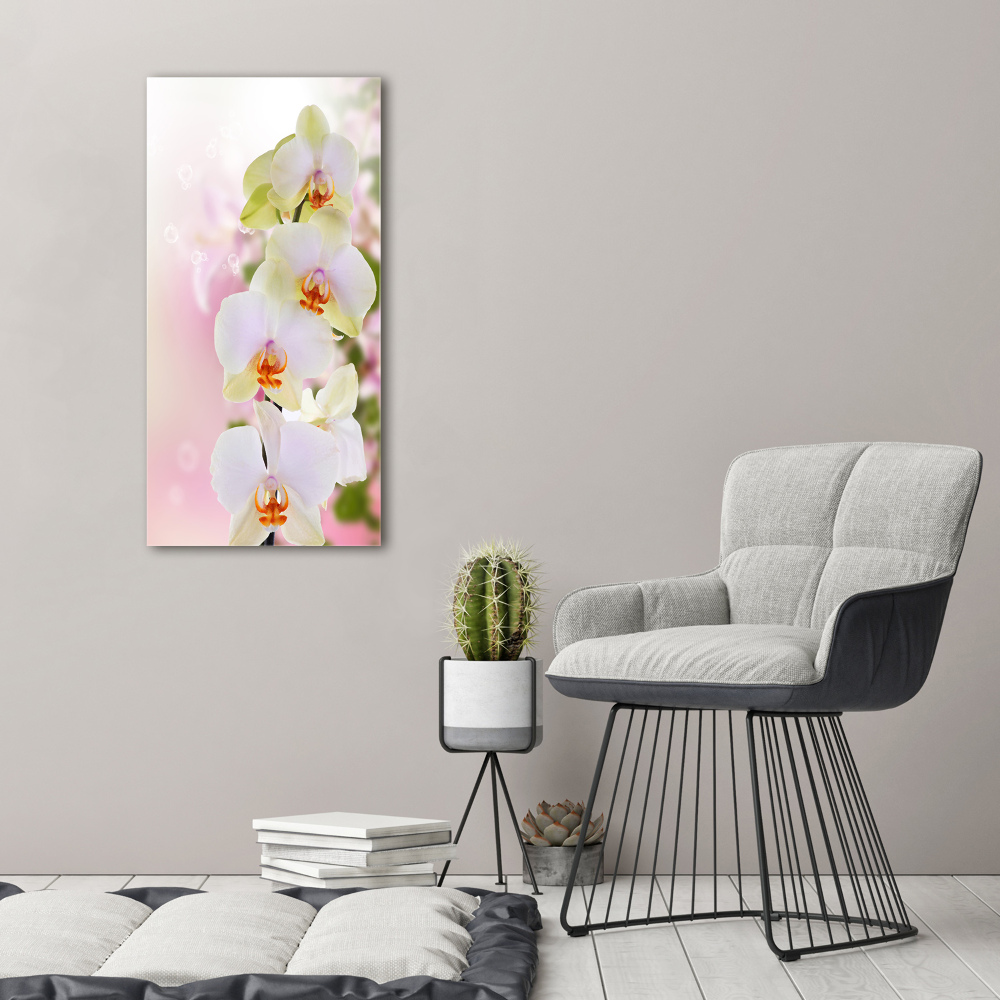 Tableau imprimé sur toile Orchidée blanche