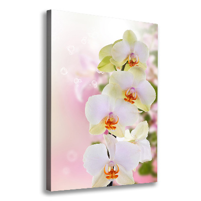 Tableau imprimé sur toile Orchidée blanche