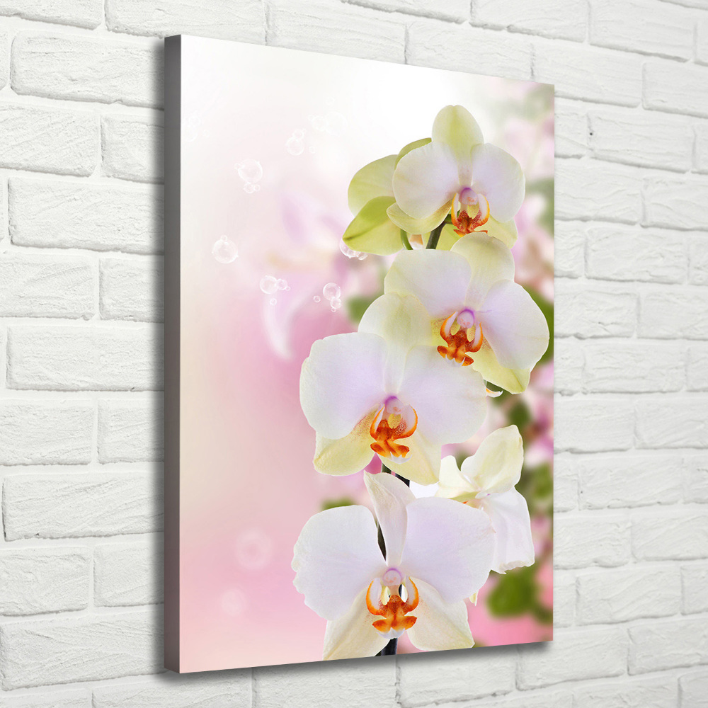 Tableau imprimé sur toile Orchidée blanche