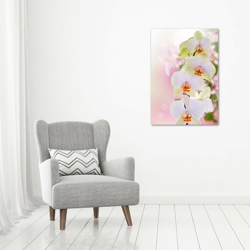 Tableau imprimé sur toile Orchidée blanche