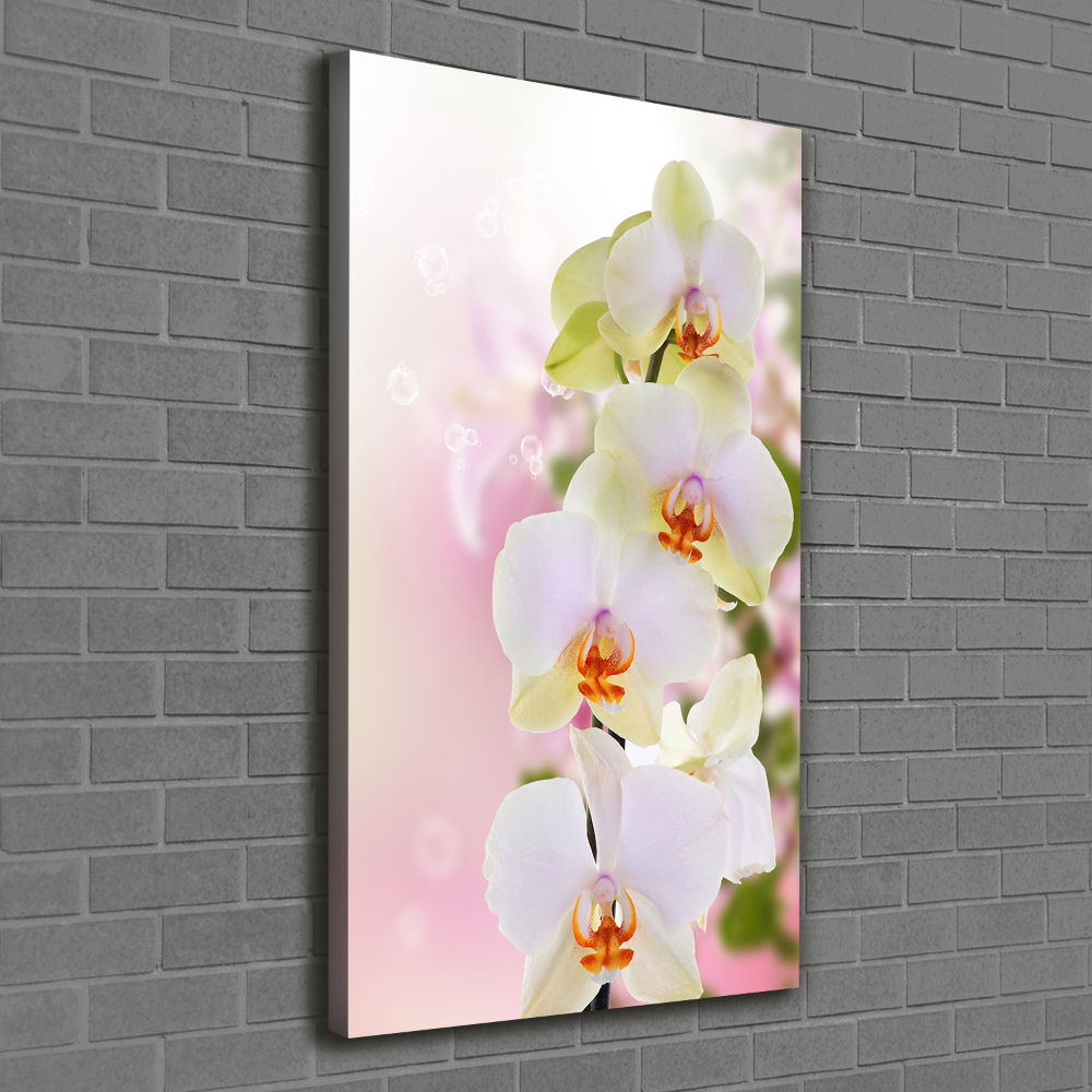 Tableau imprimé sur toile Orchidée blanche