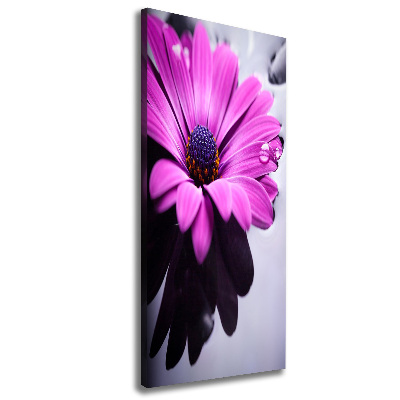 Tableau sur toile Gerbera rose