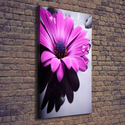 Tableau sur toile Gerbera rose